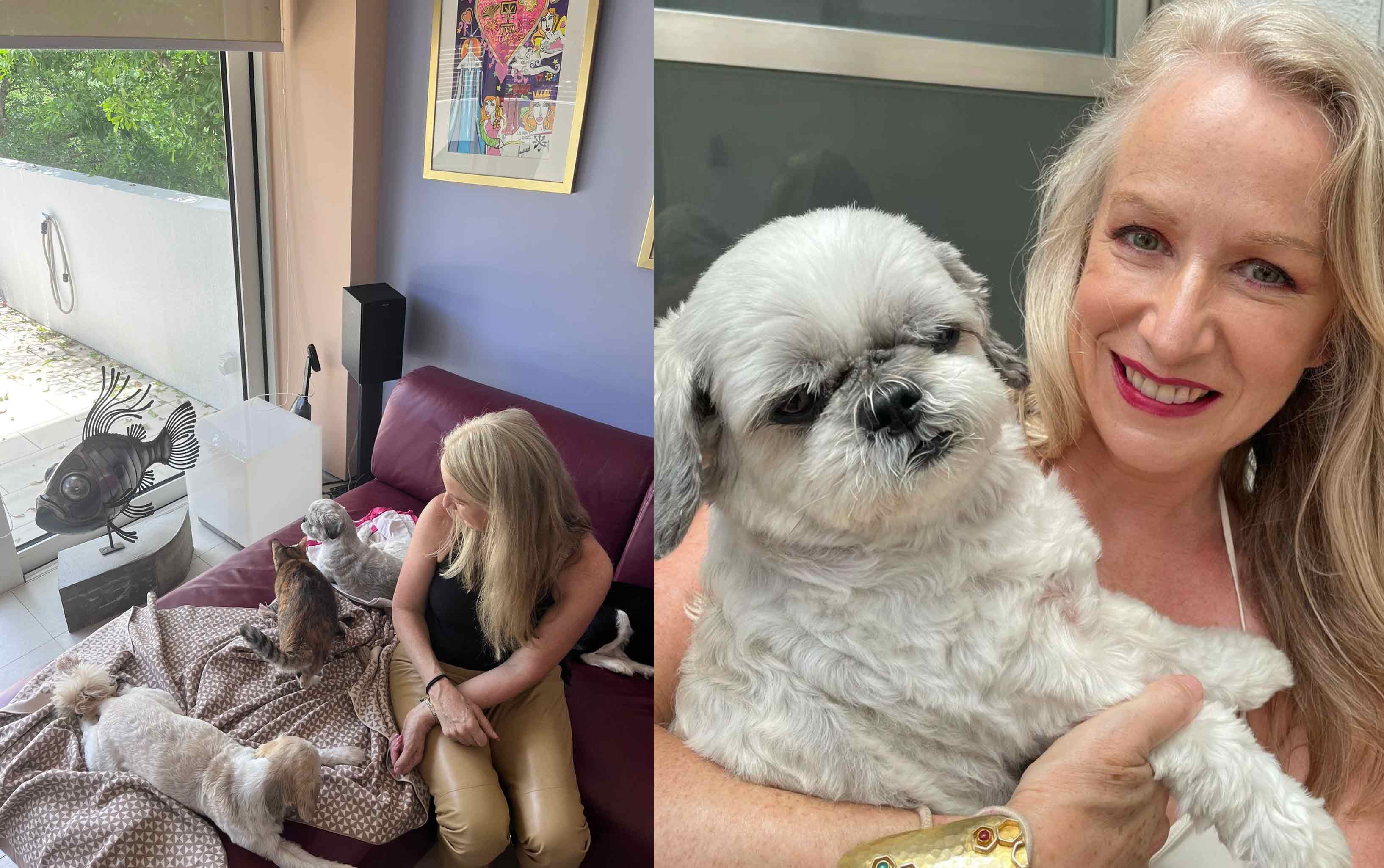 Loved By Lotus - A baby dog's favorite blanket