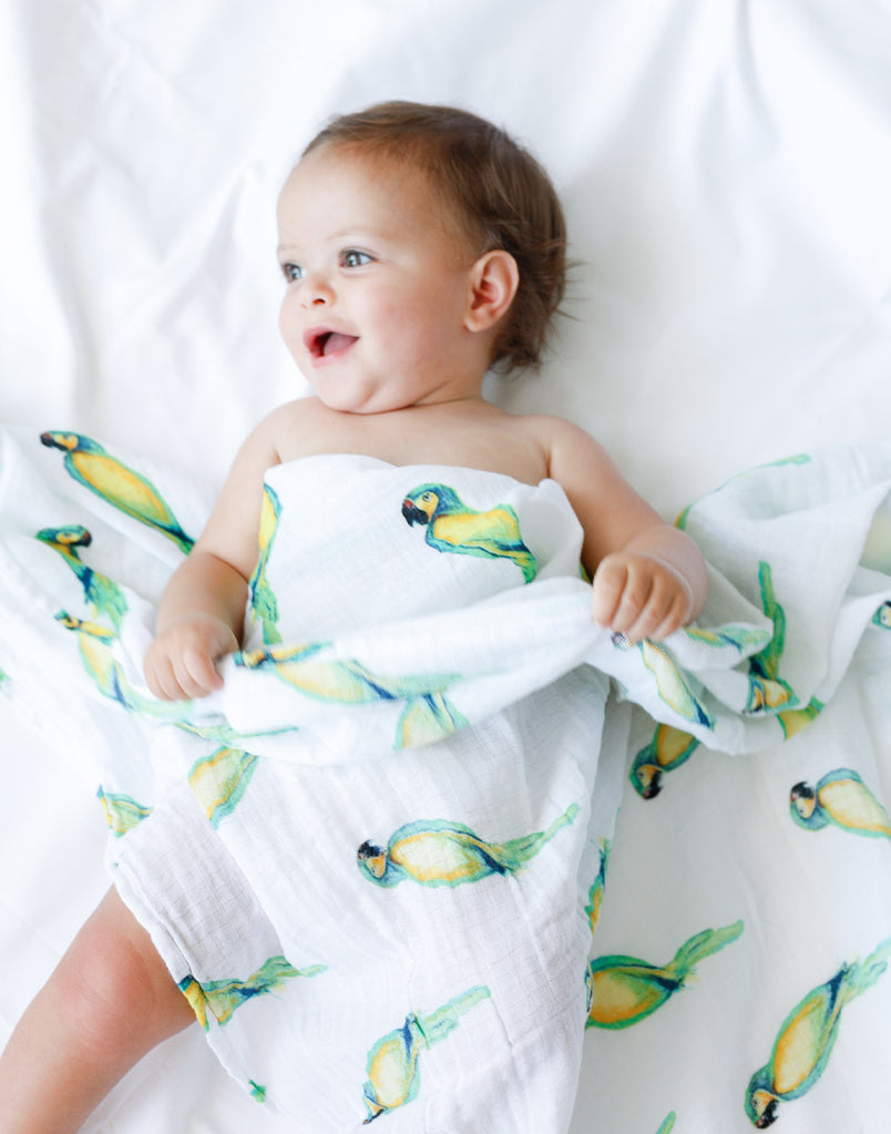 Organic Swaddle - Parrot